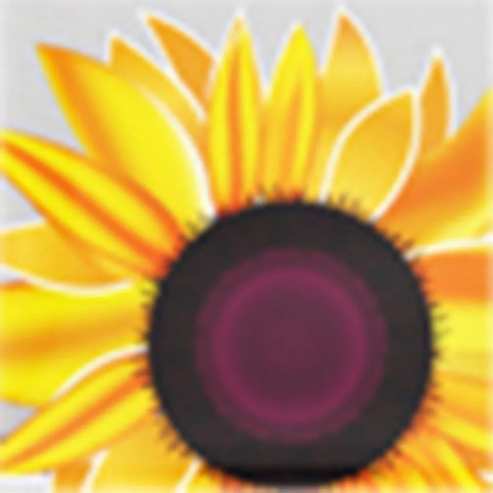 20mm Universal pattern printed silicone watch strap - White / Sunflowers