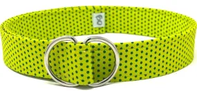 Neon Green d-ring belt with Blue Micro Dot Detail by Oliver Green