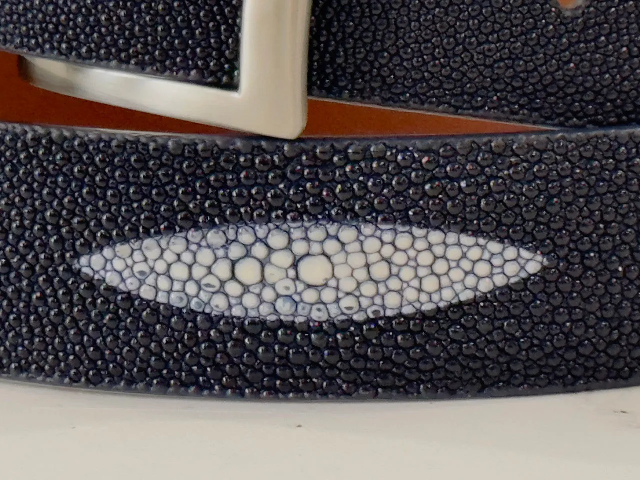 Stingray Belt: Navy Single Crown