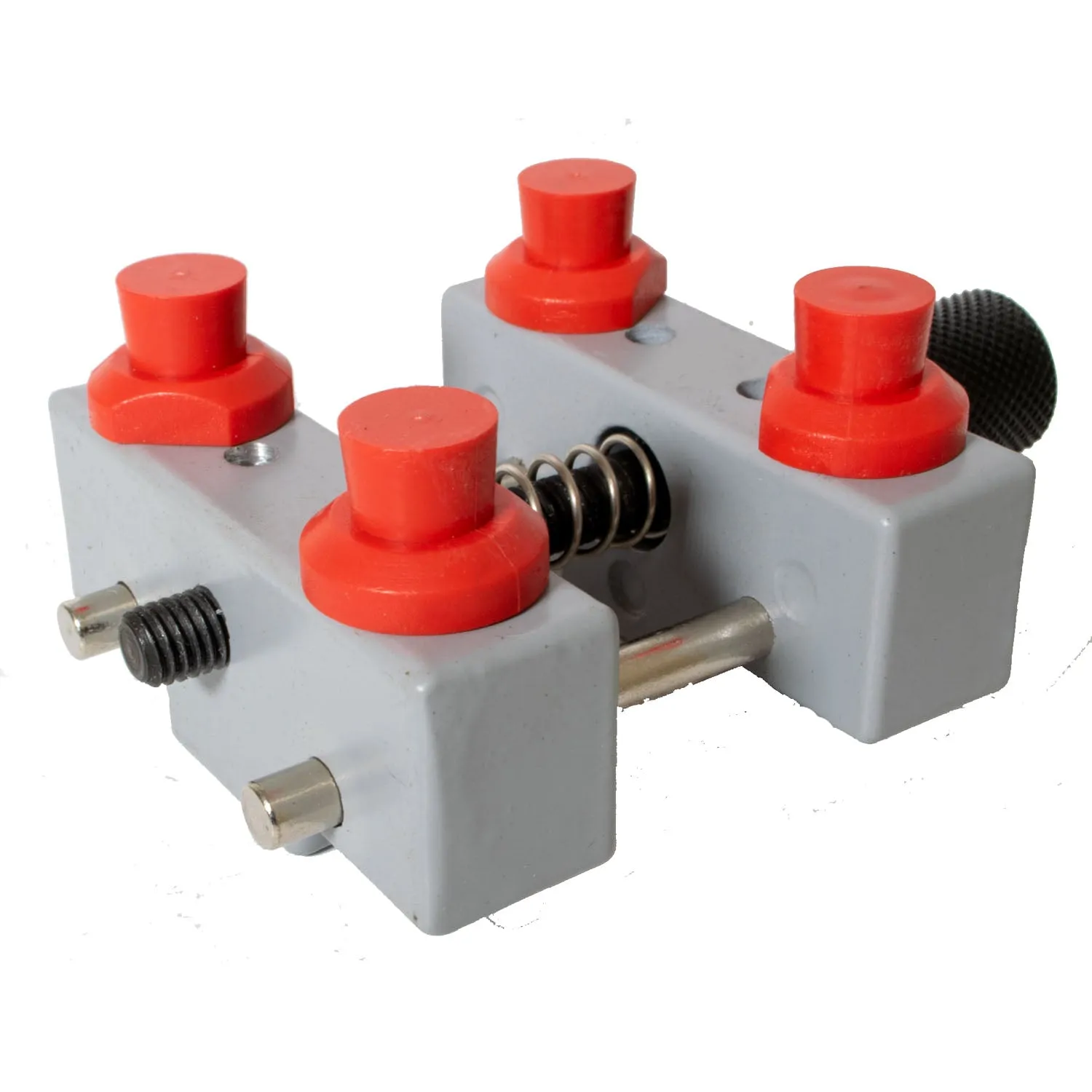 Watch Case Holder with Adjustable Nylon Pegs