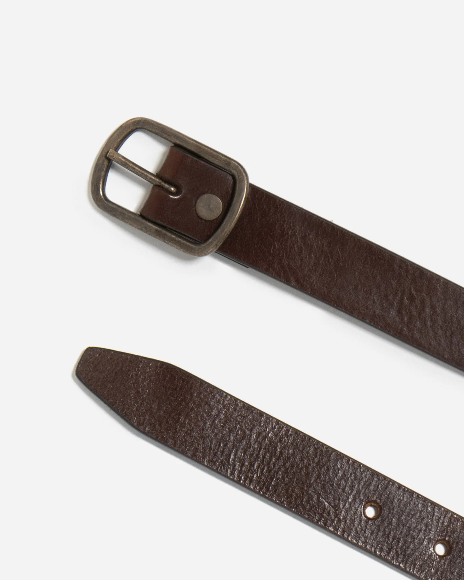 Ziggy Belt